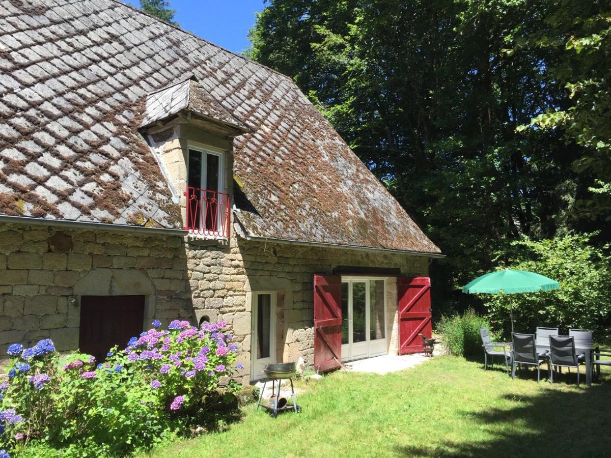 Gites Chateau Le Bois Saint-Julien-aux-Bois Eksteriør bilde