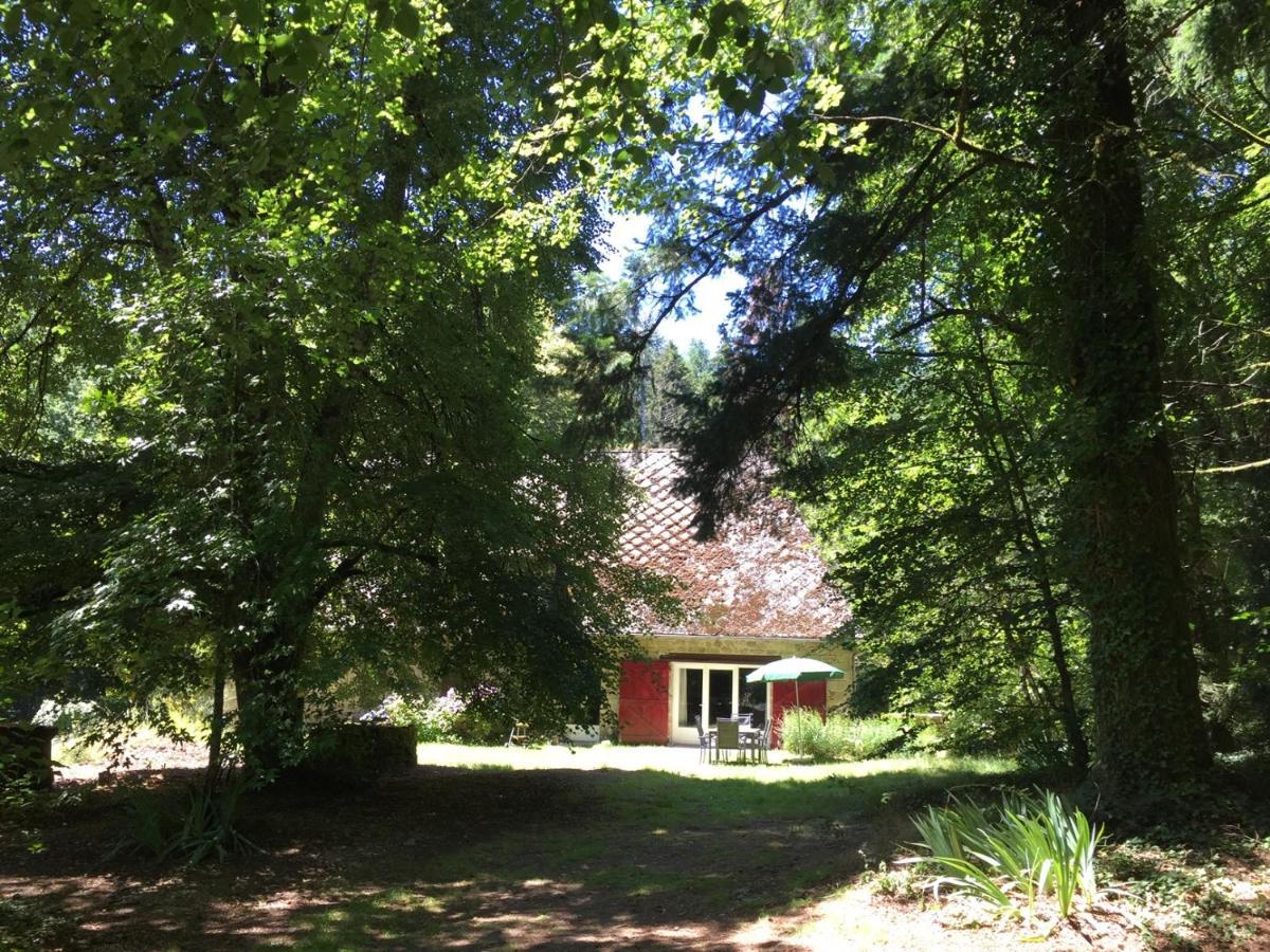 Gites Chateau Le Bois Saint-Julien-aux-Bois Eksteriør bilde