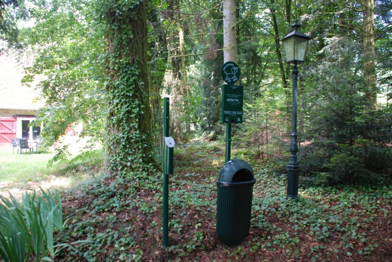 Gites Chateau Le Bois Saint-Julien-aux-Bois Eksteriør bilde