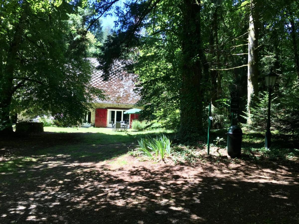 Gites Chateau Le Bois Saint-Julien-aux-Bois Eksteriør bilde