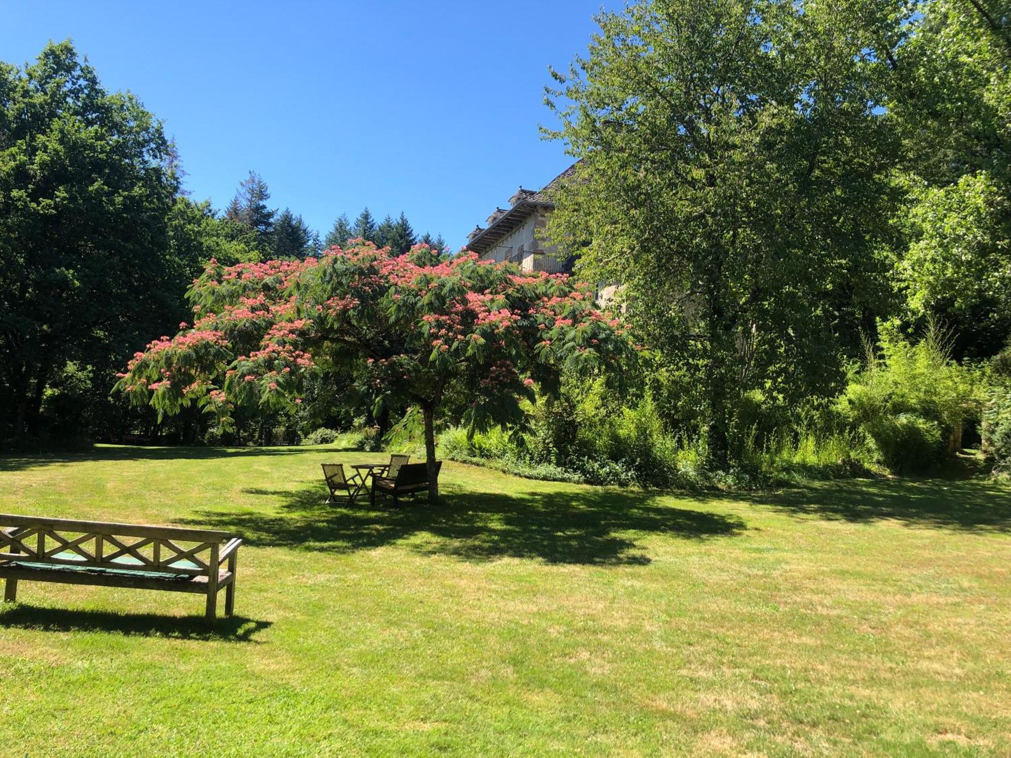 Gites Chateau Le Bois Saint-Julien-aux-Bois Eksteriør bilde