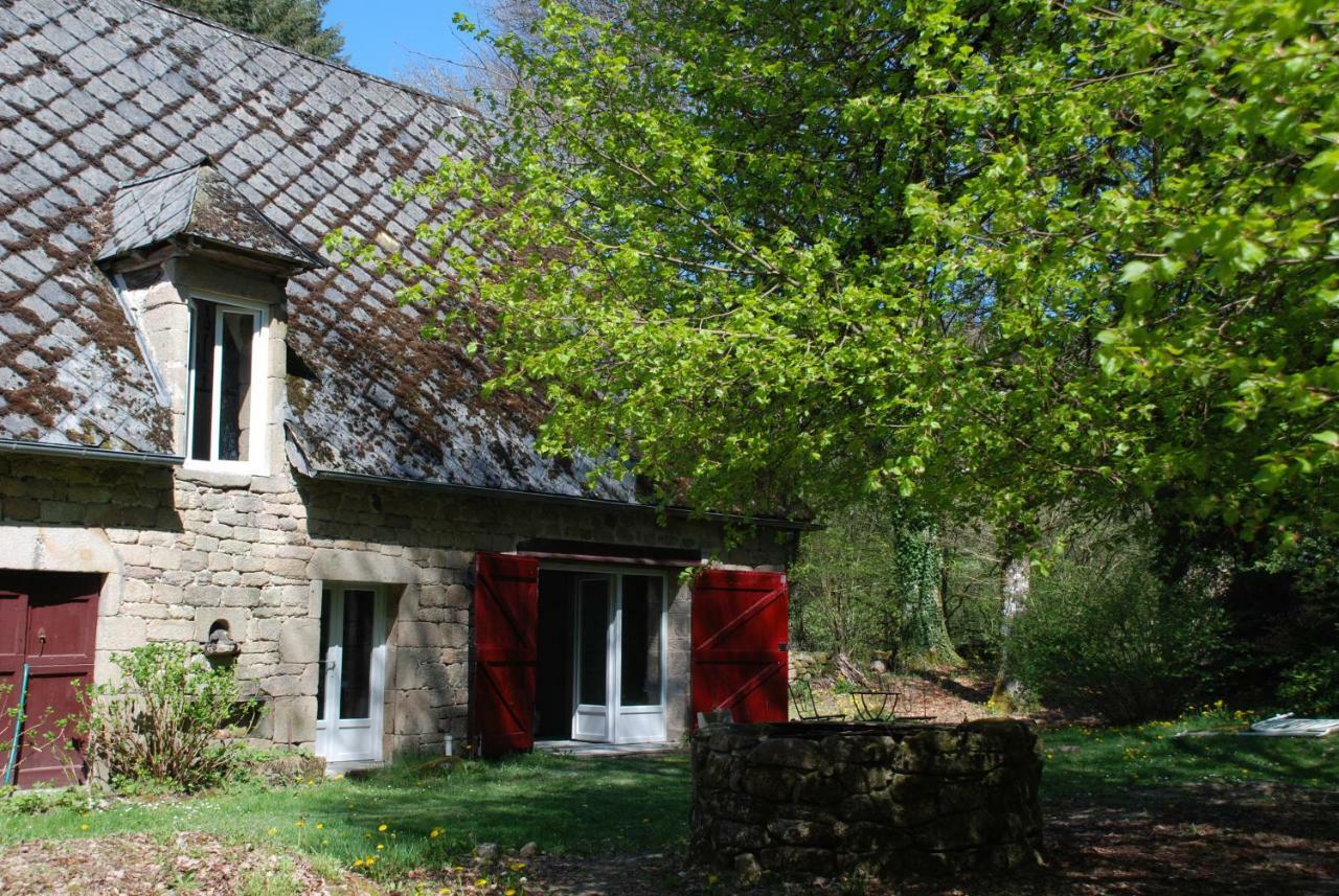 Gites Chateau Le Bois Saint-Julien-aux-Bois Eksteriør bilde