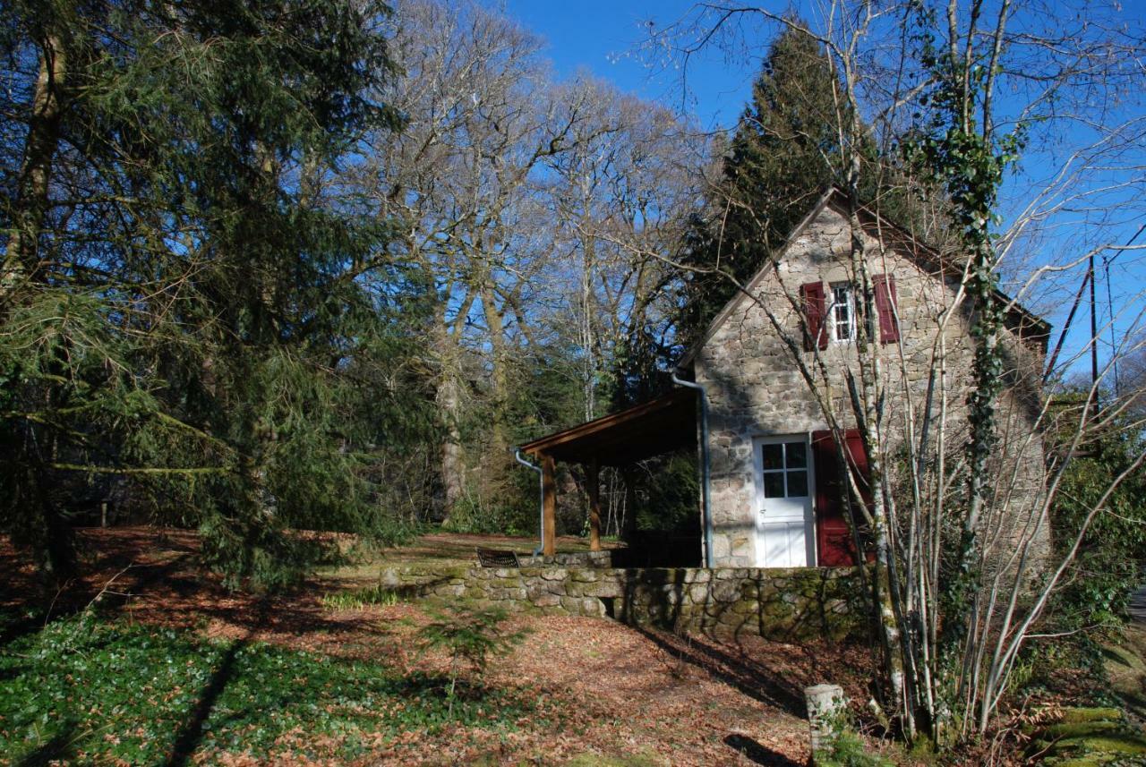 Gites Chateau Le Bois Saint-Julien-aux-Bois Eksteriør bilde