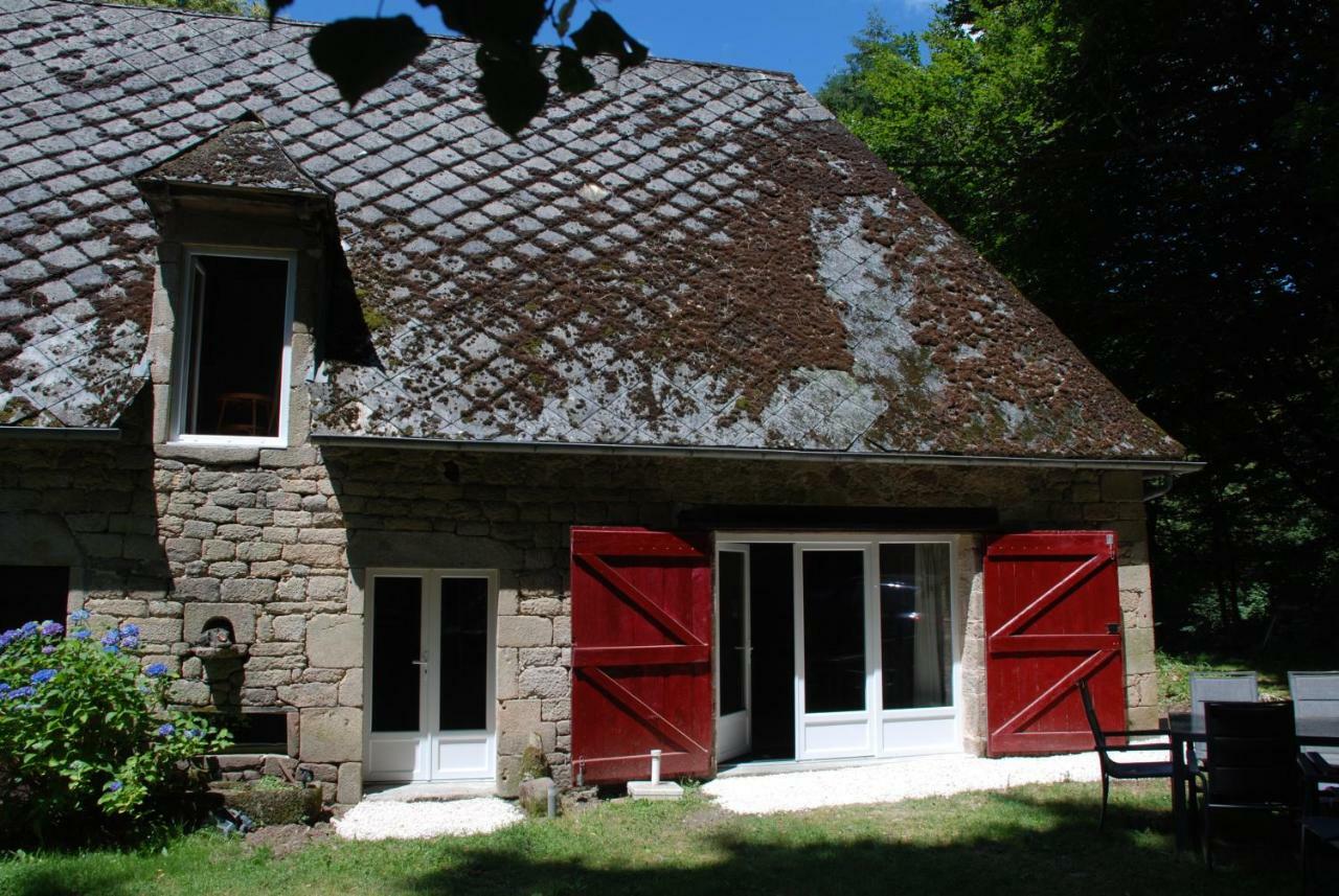 Gites Chateau Le Bois Saint-Julien-aux-Bois Eksteriør bilde
